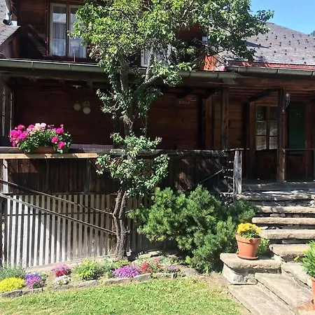 Cosy Traditional Swiss 翁根