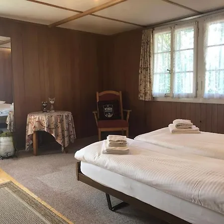 Cosy Traditional Swiss *