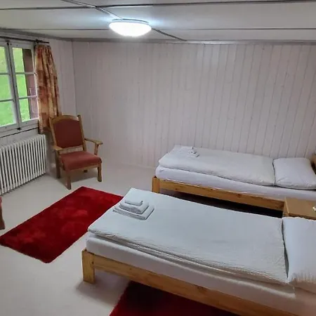 Cosy Traditional Swiss *