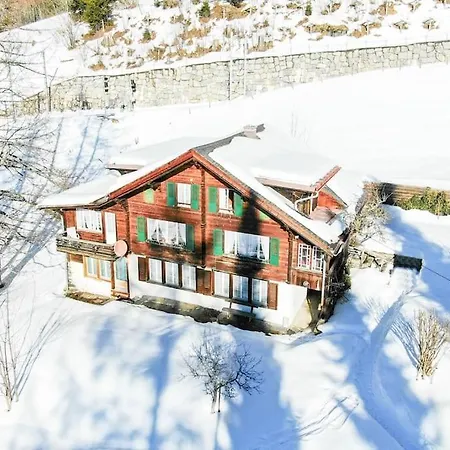 Cosy Traditional Swiss דירה *